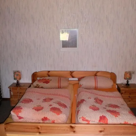 Apartamento Alte Schmiede App 1 *