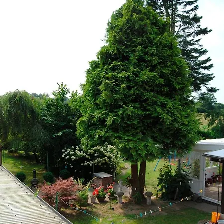 Apartamento Alte Schmiede App 1